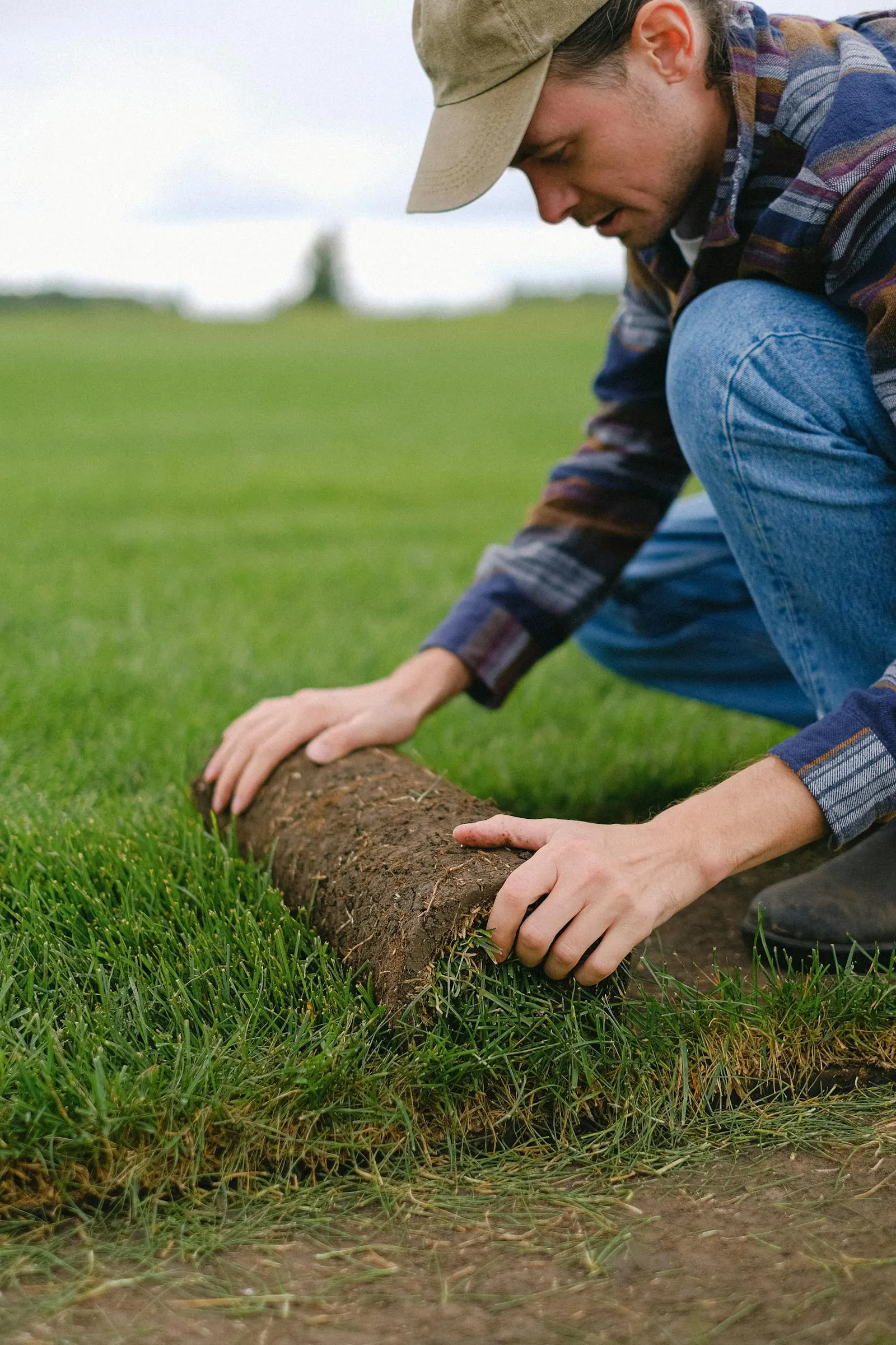 Fresh St. Augustine sod being rolled out over prepped soil in a Round Rock backyard.