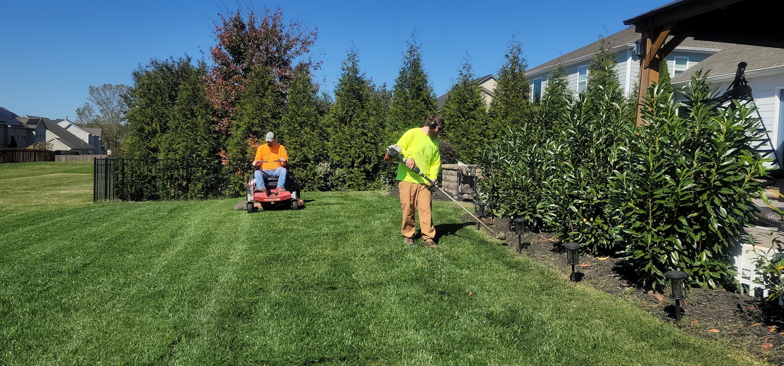 Solo operator pushing a walk-behind mower across a residential side yard.